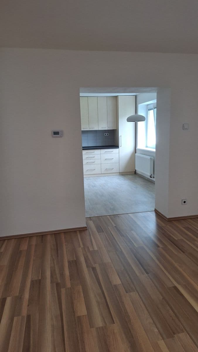 Pronájem bytu 2+1 56 m², Dvorského, Brno, Jihomoravský kraj Pronájem bytu 2+1 56 m², Dvorského, Brno, Jihomoravský kraj