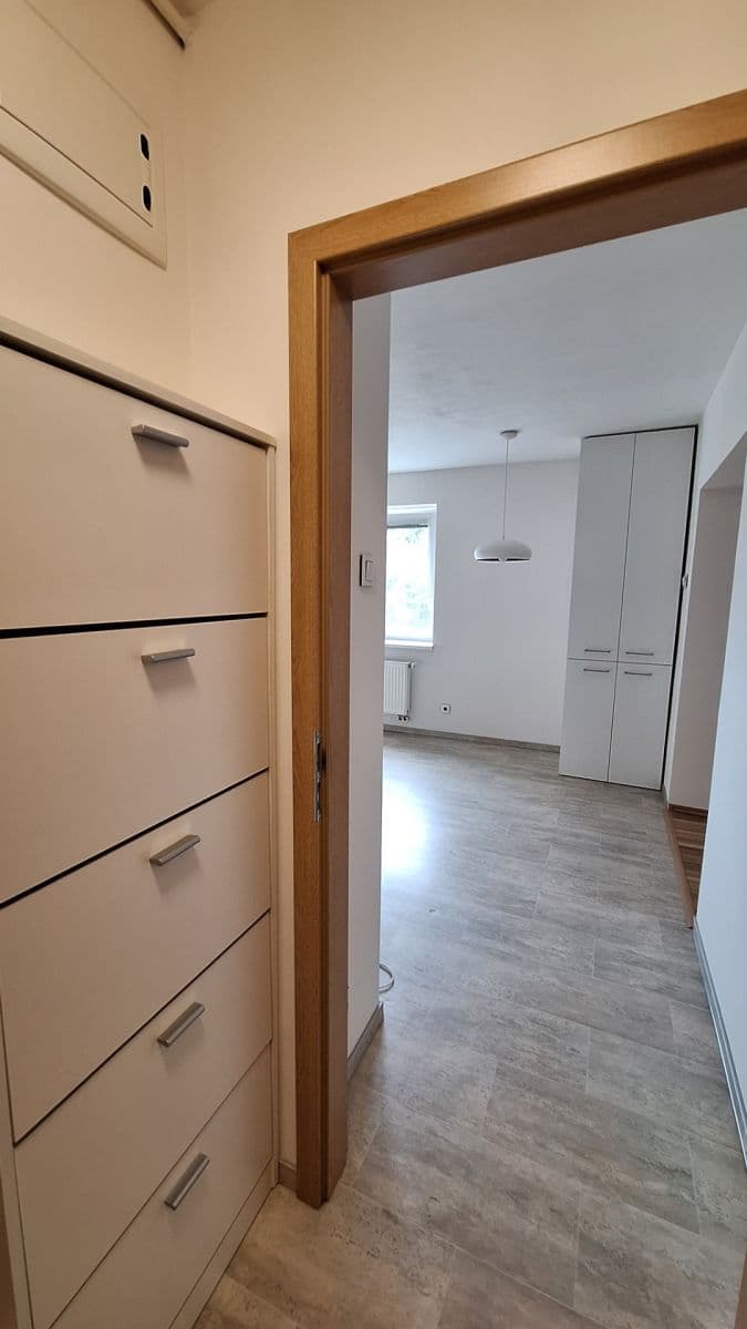 Pronájem bytu 2+1 56 m², Dvorského, Brno, Jihomoravský kraj Pronájem bytu 2+1 56 m², Dvorského, Brno, Jihomoravský kraj