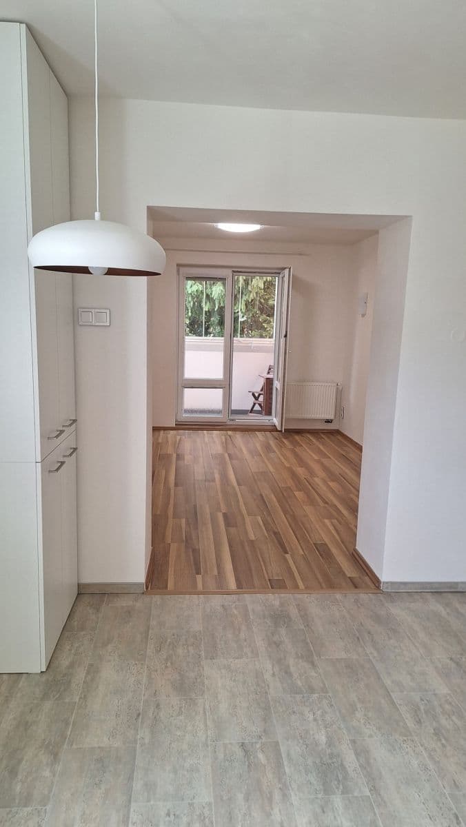 Pronájem bytu 2+1 56 m², Dvorského, Brno, Jihomoravský kraj Pronájem bytu 2+1 56 m², Dvorského, Brno, Jihomoravský kraj
