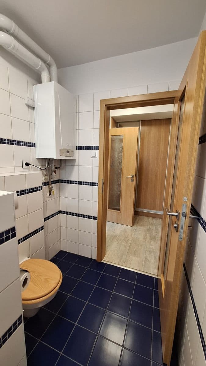 Pronájem bytu 2+1 56 m², Dvorského, Brno, Jihomoravský kraj Pronájem bytu 2+1 56 m², Dvorského, Brno, Jihomoravský kraj