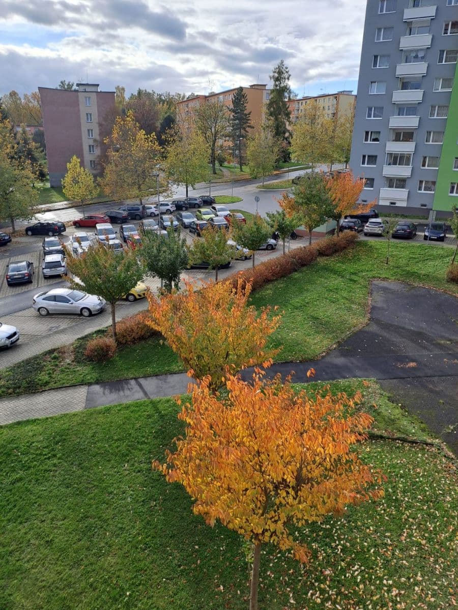 Pronájem bytu 1+kk 29 m², Přátelství, Cheb, Karlovarský kraj Pronájem bytu 1+kk 29 m², Přátelství, Cheb, Karlovarský kraj