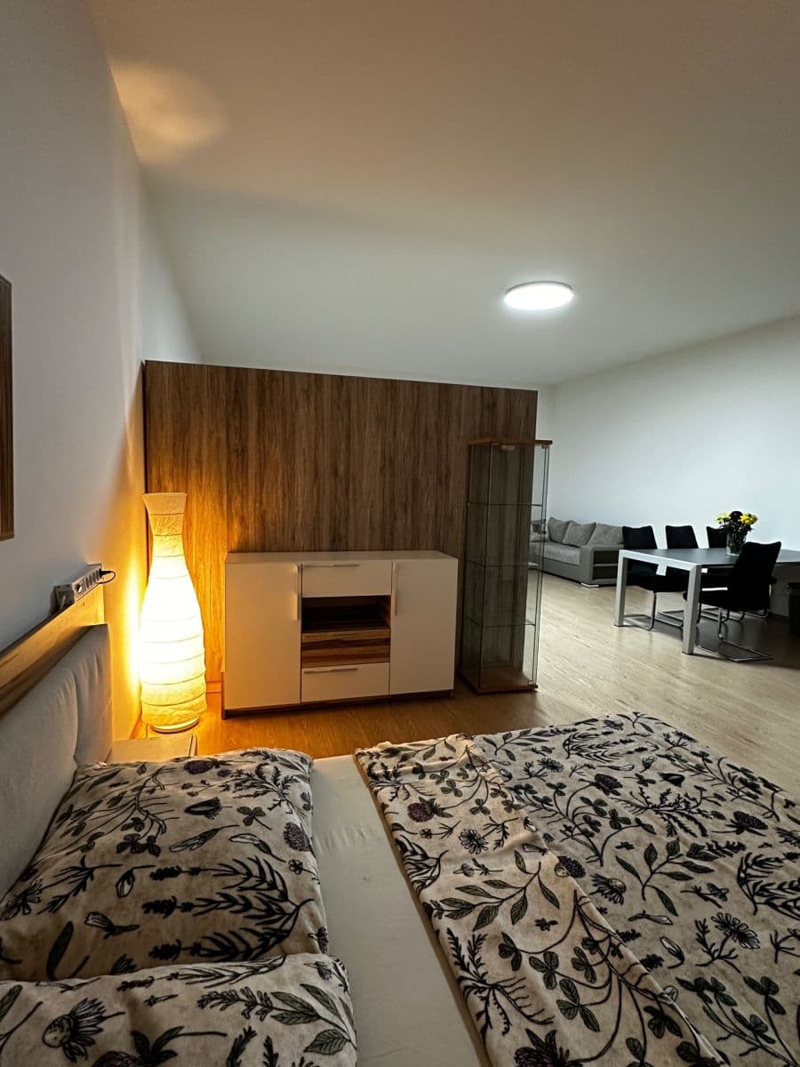Pronájem bytu 1+kk 66 m², Březenská, Praha, Praha Pronájem bytu 1+kk 66 m², Březenská, Praha, Praha
