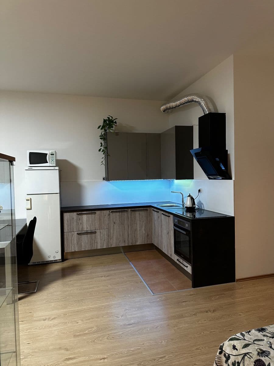 Pronájem bytu 1+kk 66 m², Březenská, Praha, Praha Pronájem bytu 1+kk 66 m², Březenská, Praha, Praha