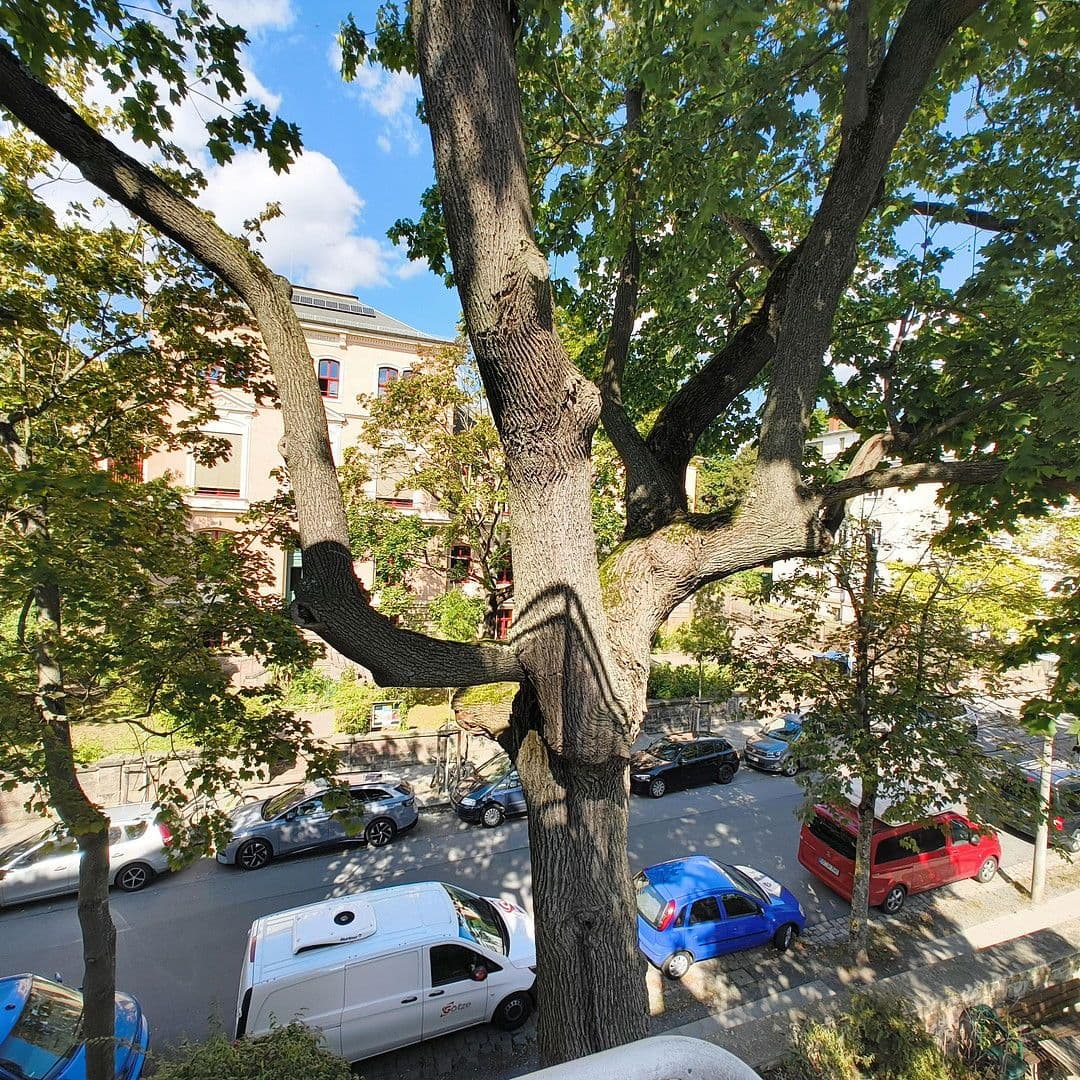 Pronájem bytu 1+1 39 m², Jägerstraße 27, Dresden, Sasko Pronájem bytu 1+1 39 m², Jägerstraße 27, Dresden, Sasko