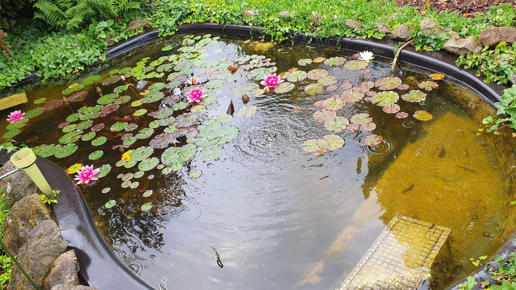 Prodej domu 154 m², pozemek 530 m², Ludwigshafen, Porýní-Falc Prodej domu 154 m², pozemek 530 m², Ludwigshafen, Porýní-Falc