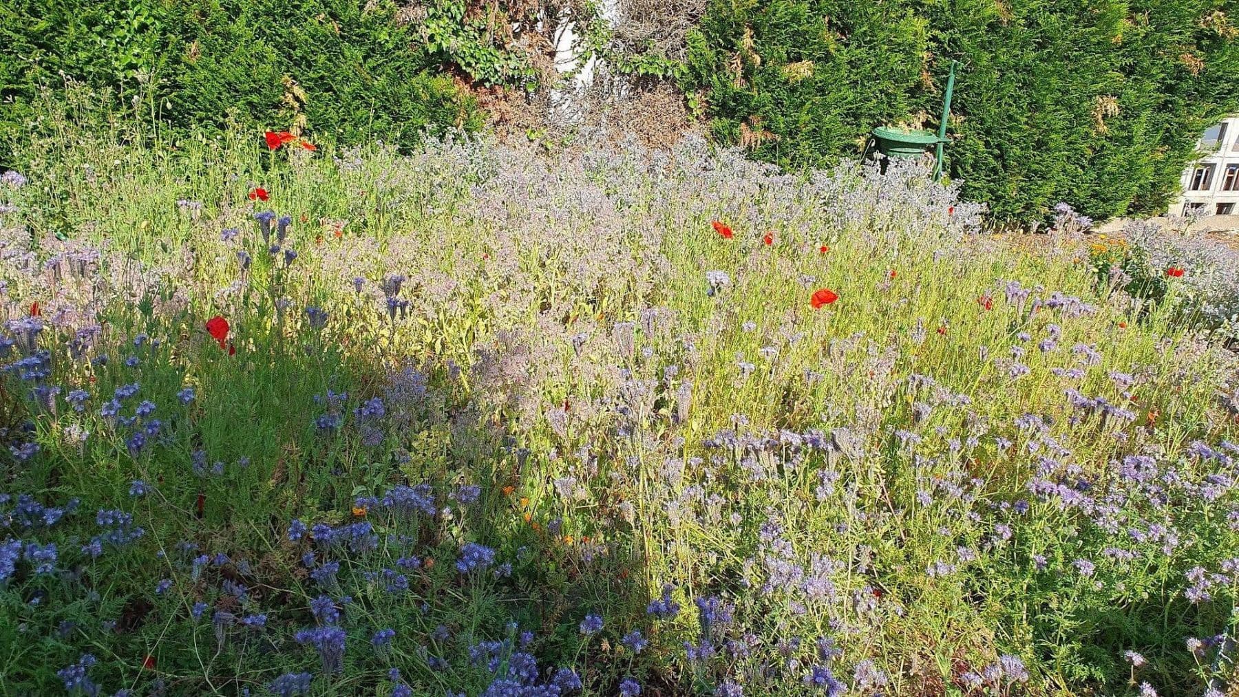 Prodej domu 154 m², pozemek 530 m², Ludwigshafen, Porýní-Falc Prodej domu 154 m², pozemek 530 m², Ludwigshafen, Porýní-Falc