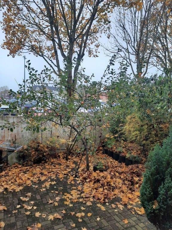 Pronájem bytu 2+1 47 m², Flensburg, Šlesvicko-Holštýnsko Pronájem bytu 2+1 47 m², Flensburg, Šlesvicko-Holštýnsko