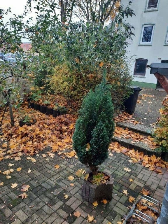 Pronájem bytu 2+1 47 m², Flensburg, Šlesvicko-Holštýnsko Pronájem bytu 2+1 47 m², Flensburg, Šlesvicko-Holštýnsko