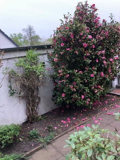 Prodej domu 135 m², pozemek 683 m², Hannover, Dolní Sasko Prodej domu 135 m², pozemek 683 m², Hannover, Dolní Sasko