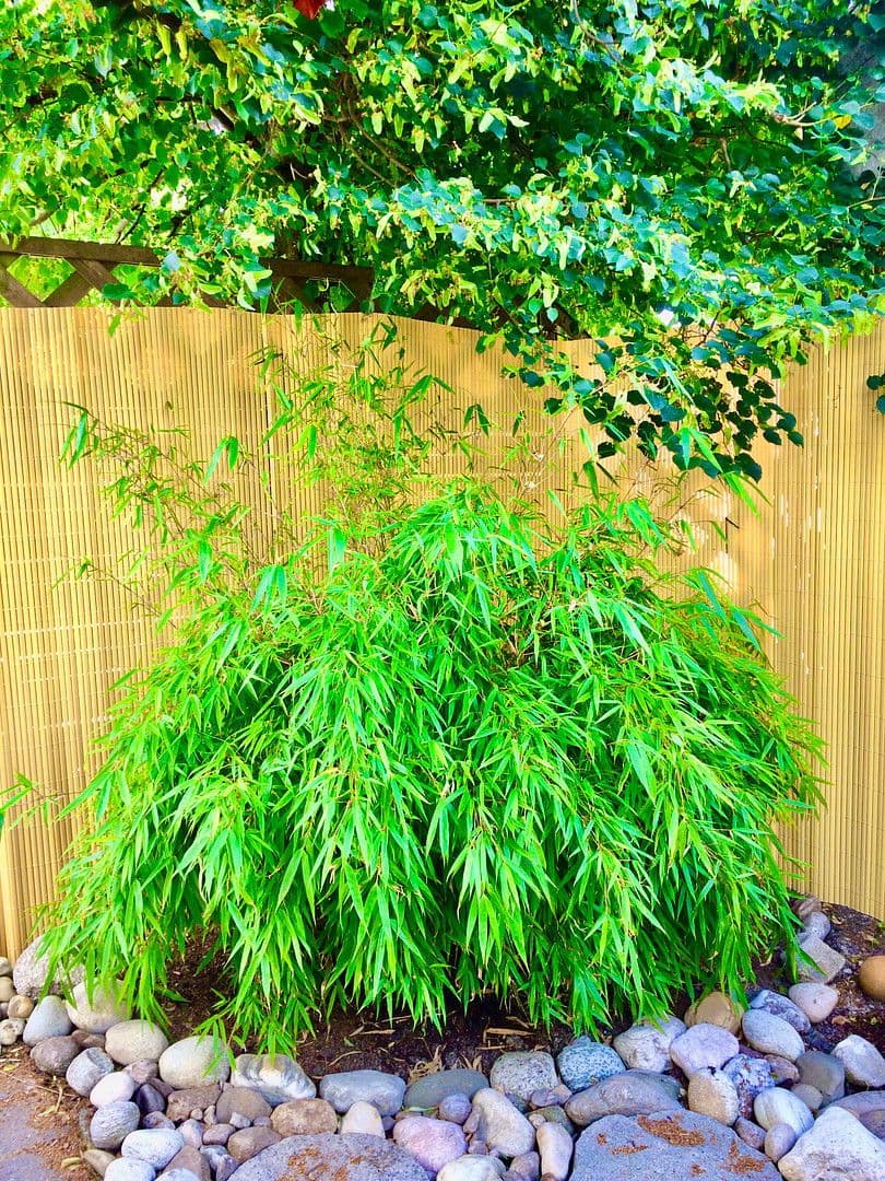 Pronájem bytu 2+1 70 m², Geschwister-Scholl-Straße, Landshut, Bavorsko Pronájem bytu 2+1 70 m², Geschwister-Scholl-Straße, Landshut, Bavorsko