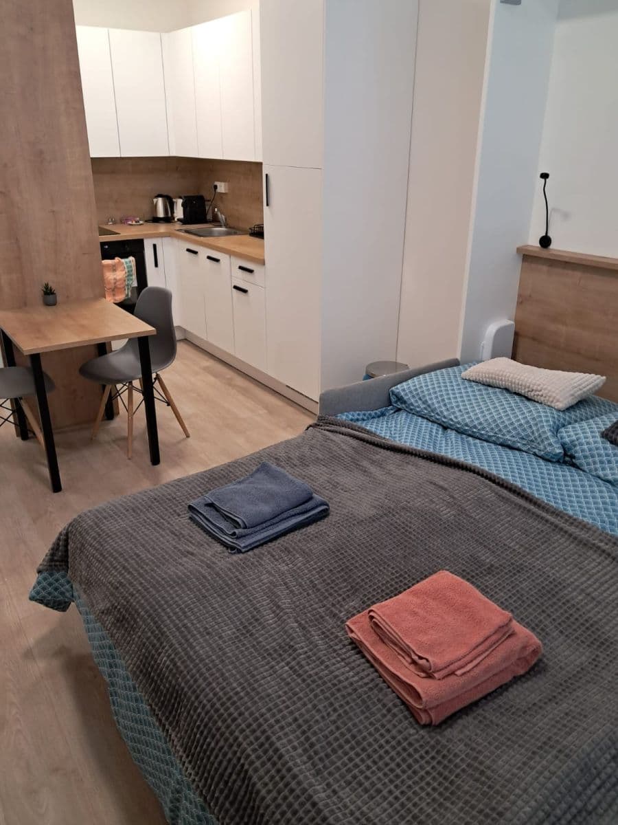 Pronájem bytu 22 m², Plzeňská, Praha, Praha Pronájem bytu 22 m², Plzeňská, Praha, Praha
