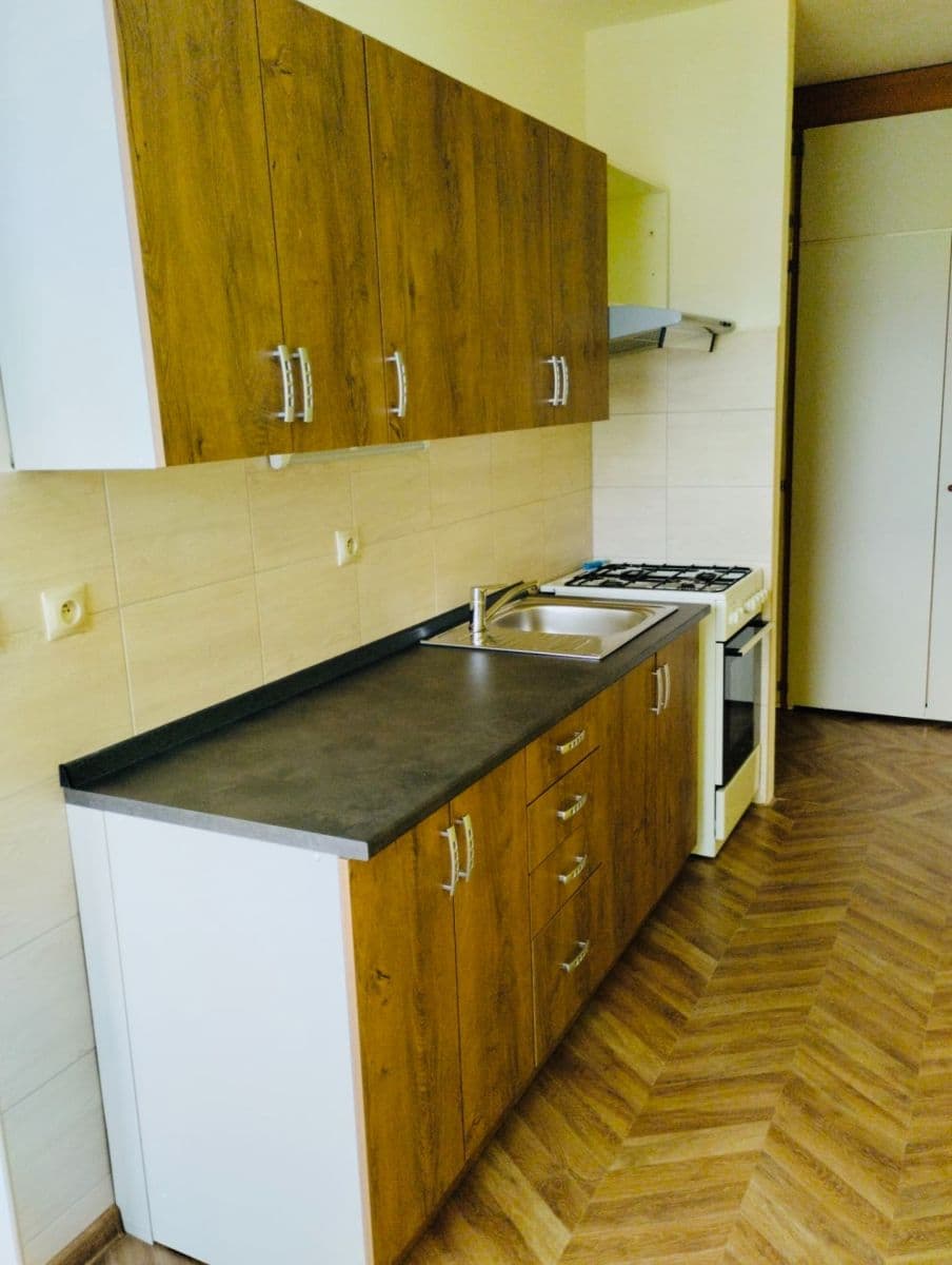 Pronájem bytu 1+1 37 m², Libušina, Bechyně, Jihočeský kraj Pronájem bytu 1+1 37 m², Libušina, Bechyně, Jihočeský kraj