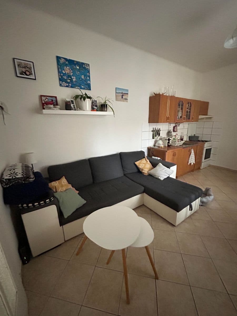 Pronájem bytu 1+1 48 m², Koněvova, Praha, Praha Pronájem bytu 1+1 48 m², Koněvova, Praha, Praha