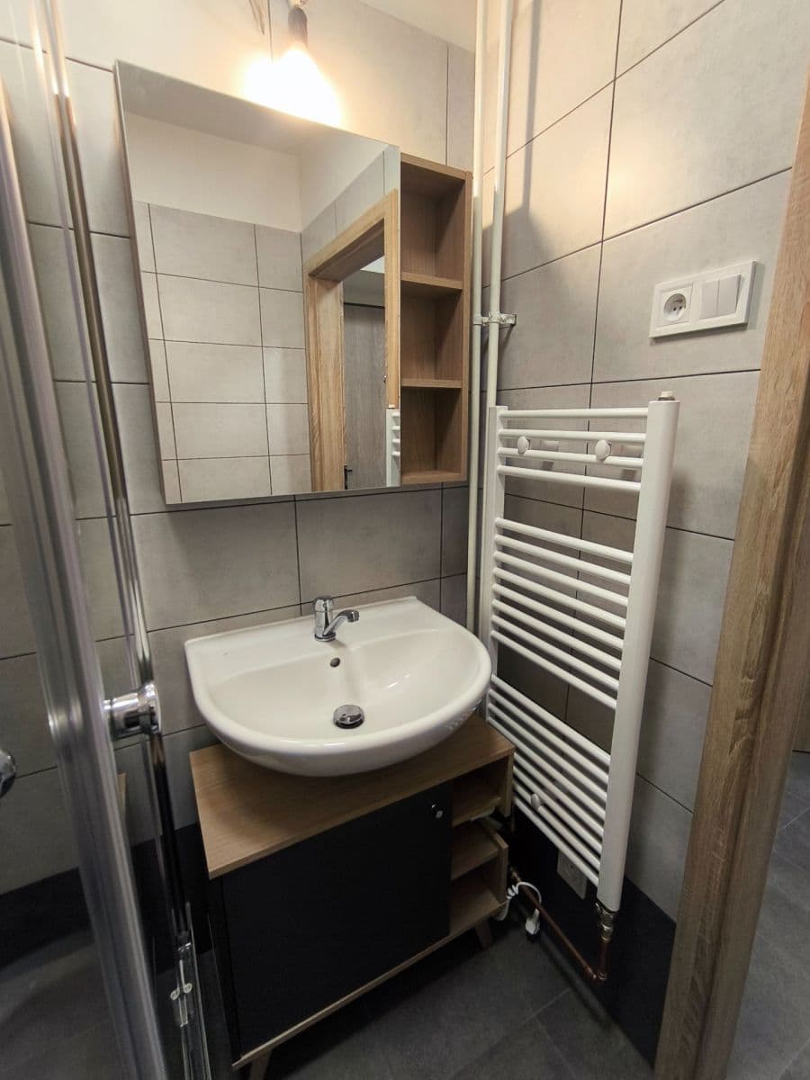 Pronájem bytu 1+1 30 m², Partyzánská, Plzeň, Plzeňský kraj Pronájem bytu 1+1 30 m², Partyzánská, Plzeň, Plzeňský kraj