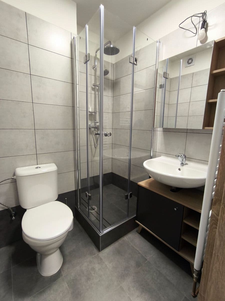 Pronájem bytu 1+1 30 m², Partyzánská, Plzeň, Plzeňský kraj Pronájem bytu 1+1 30 m², Partyzánská, Plzeň, Plzeňský kraj