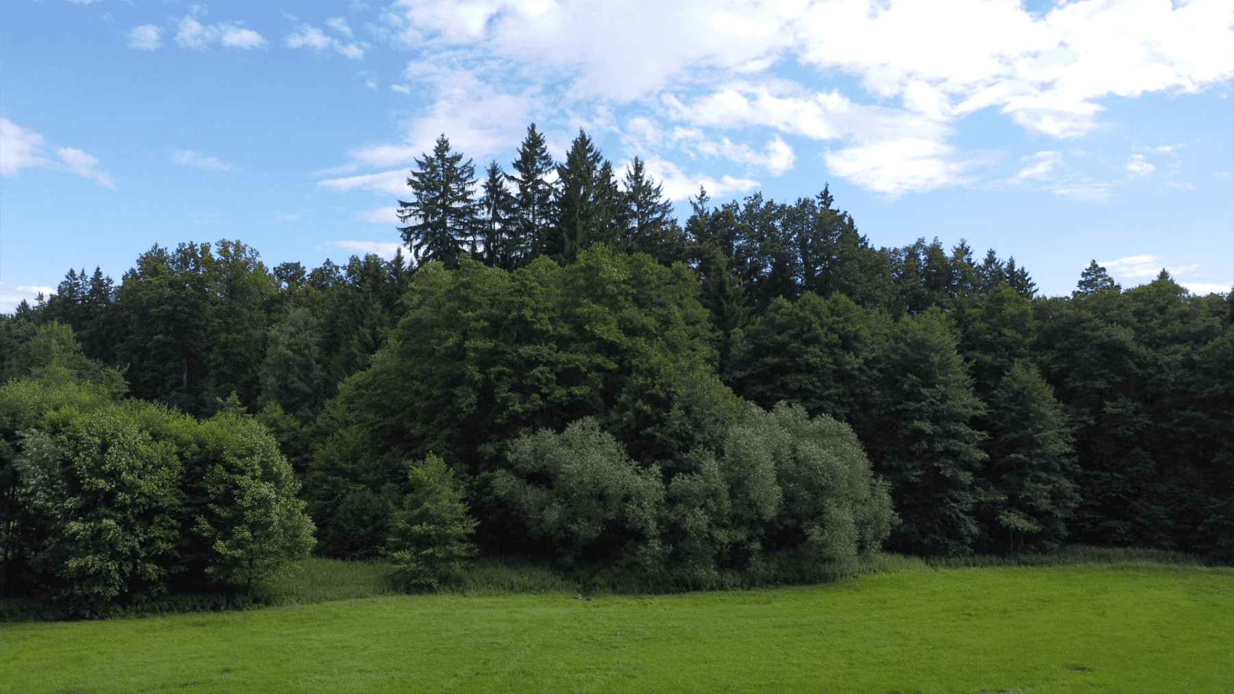 Prodej pozemku 2.300 m², Hluboká nad Vltavou, Jihočeský kraj Prodej pozemku 2.300 m², Hluboká nad Vltavou, Jihočeský kraj