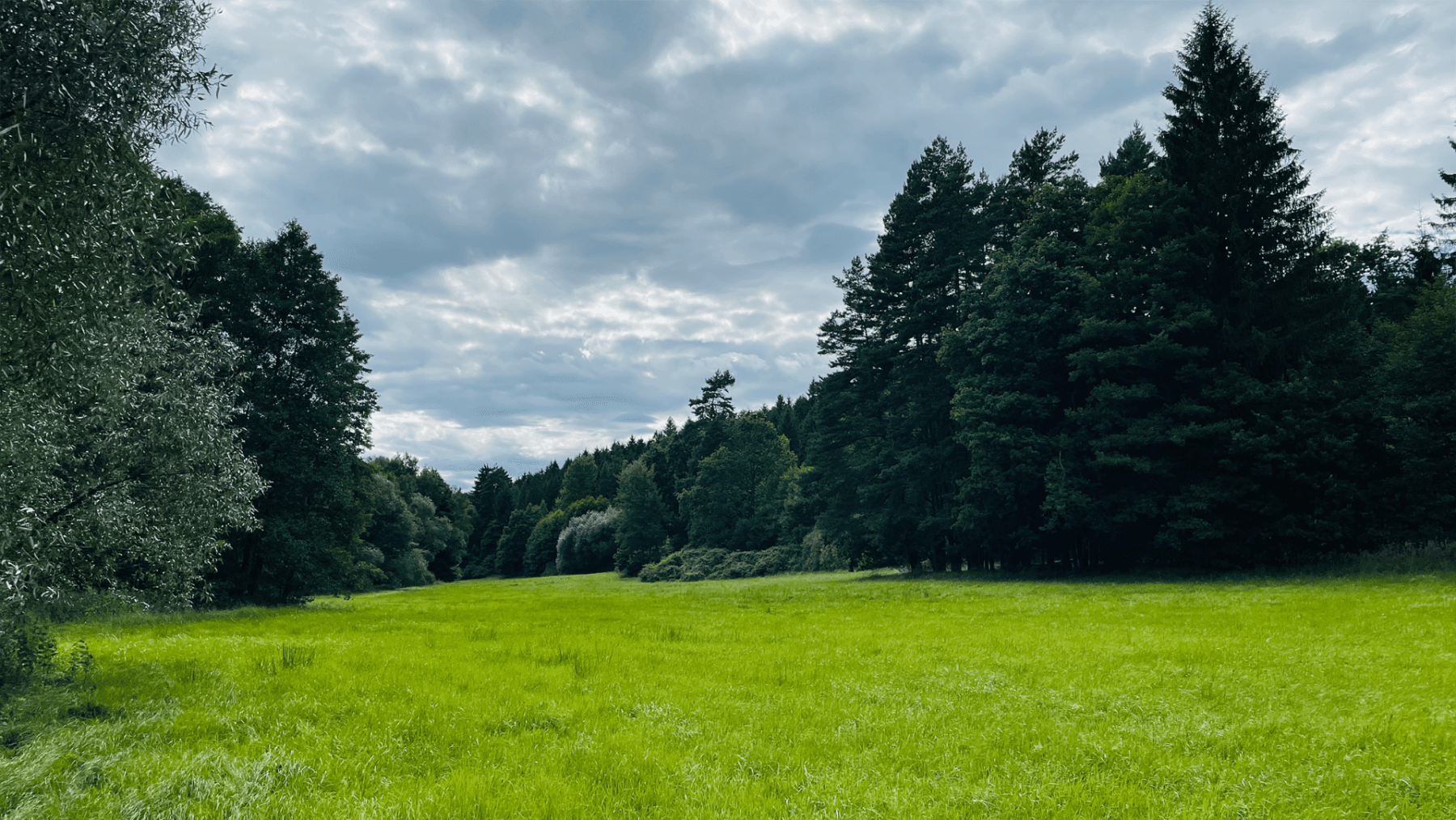 Prodej pozemku 2.300 m², Hluboká nad Vltavou, Jihočeský kraj Prodej pozemku 2.300 m², Hluboká nad Vltavou, Jihočeský kraj