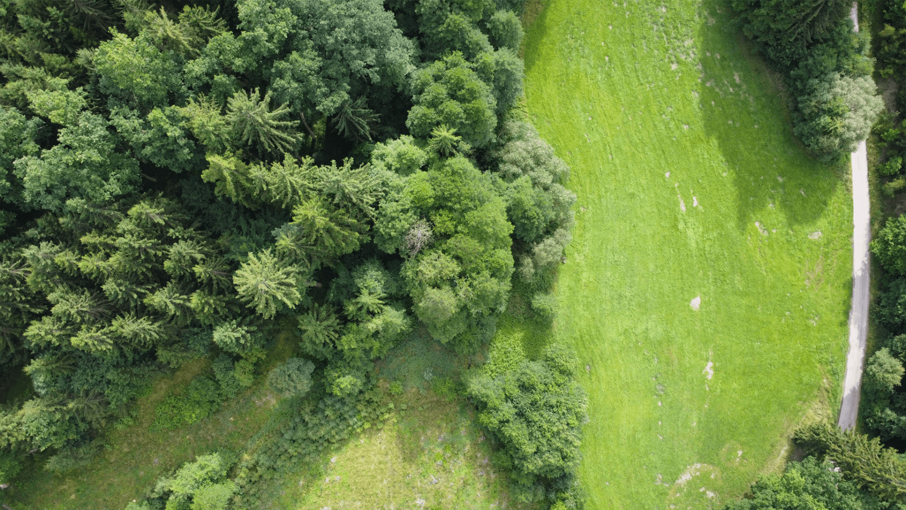 Prodej pozemku 2.300 m², Hluboká nad Vltavou, Jihočeský kraj Prodej pozemku 2.300 m², Hluboká nad Vltavou, Jihočeský kraj