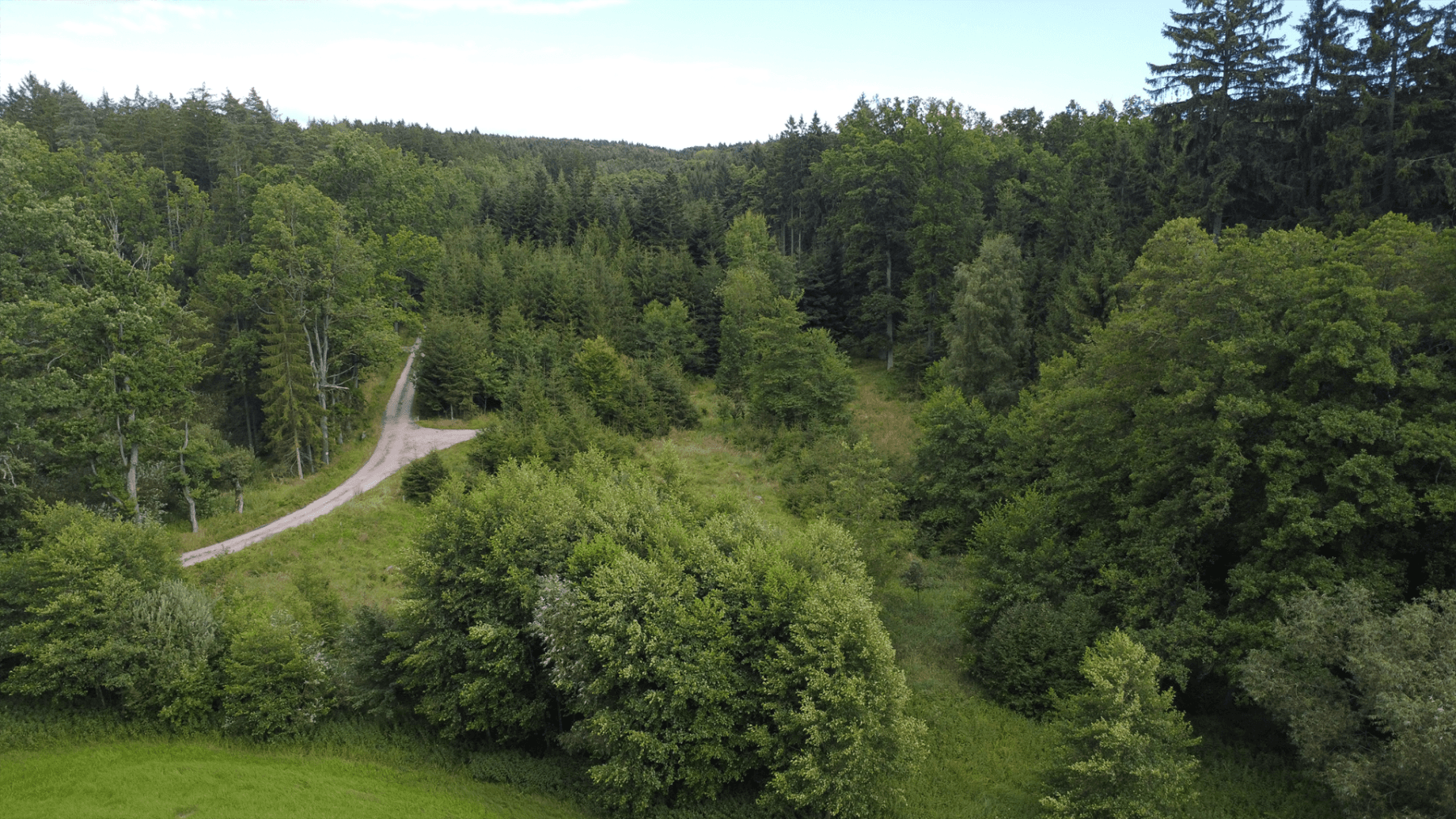 Prodej pozemku 2.300 m², Hluboká nad Vltavou, Jihočeský kraj Prodej pozemku 2.300 m², Hluboká nad Vltavou, Jihočeský kraj
