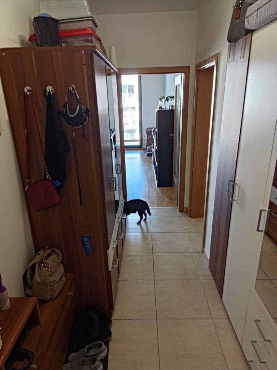 Pronájem bytu 2+kk 59 m², Sousedíkova, Praha, Praha Pronájem bytu 2+kk 59 m², Sousedíkova, Praha, Praha