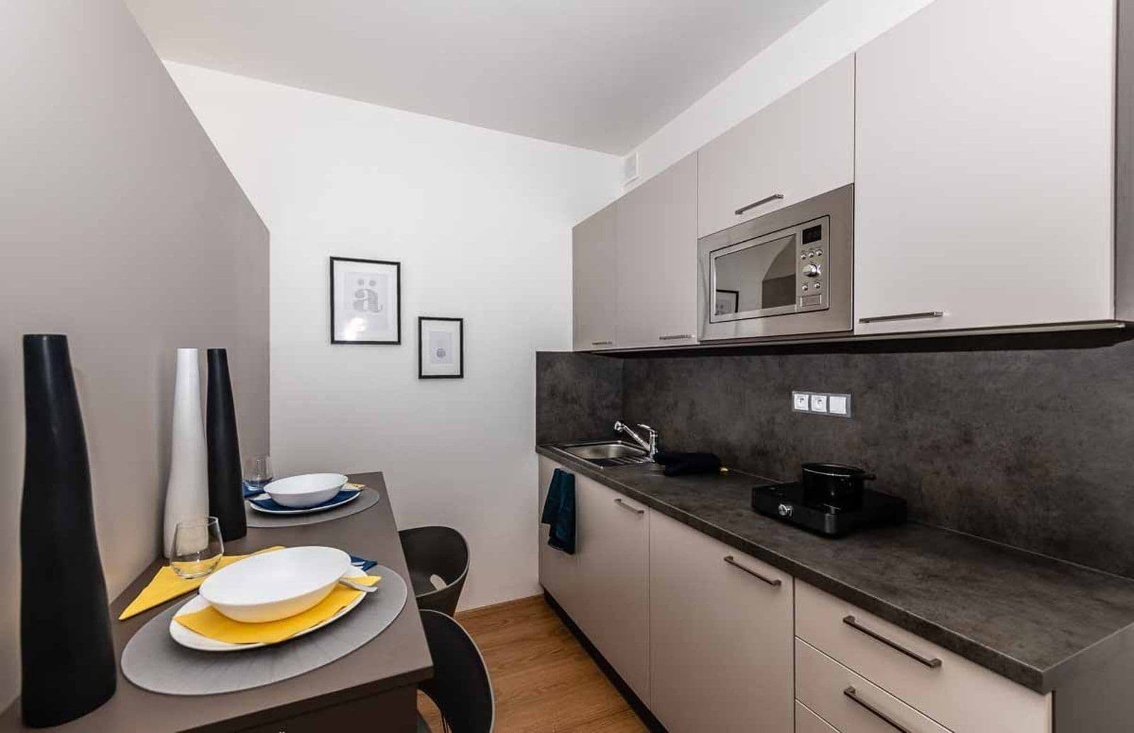 Pronájem bytu 1+kk 28 m², Magisterská, Plzeň, Plzeňský kraj Pronájem bytu 1+kk 28 m², Magisterská, Plzeň, Plzeňský kraj