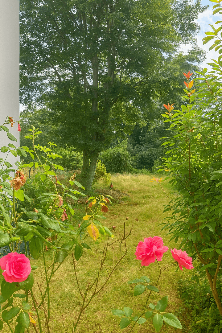 Prodej bytu 3+1 70 m², Julius-Leber-Straße 9, Bonn, Severní Porýní-Vestfálsko Prodej bytu 3+1 70 m², Julius-Leber-Straße 9, Bonn, Severní Porýní-Vestfálsko