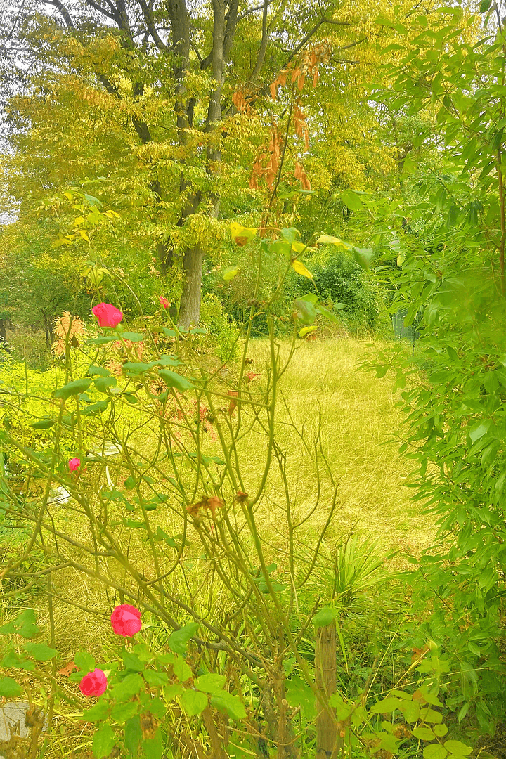 Prodej bytu 3+1 70 m², Julius-Leber-Straße 9, Bonn, Severní Porýní-Vestfálsko Prodej bytu 3+1 70 m², Julius-Leber-Straße 9, Bonn, Severní Porýní-Vestfálsko