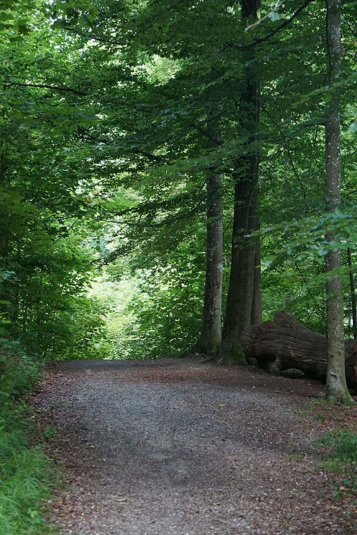 Prodej bytu 3+1 100 m², Mariaberger Str. 33, Kempten (Allgäu), Bavorsko Prodej bytu 3+1 100 m², Mariaberger Str. 33, Kempten (Allgäu), Bavorsko