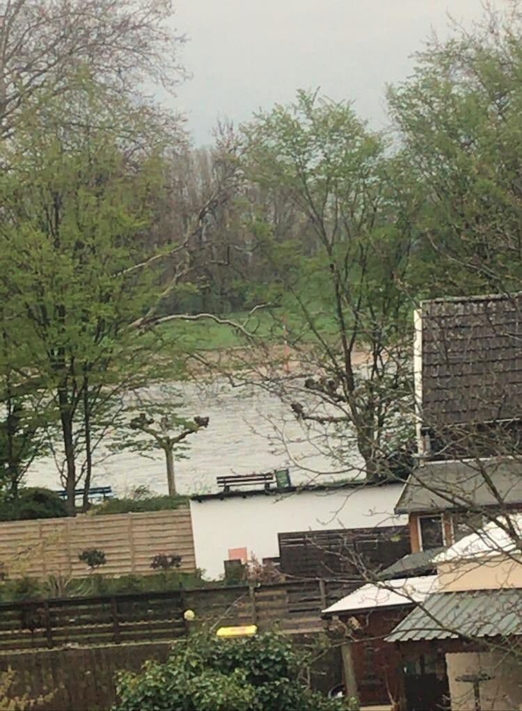 Prodej domu 295 m², pozemek 309 m², Duisburgerstr., Duisburg, Severní Porýní-Vestfálsko Prodej domu 295 m², pozemek 309 m², Duisburgerstr., Duisburg, Severní Porýní-Vestfálsko