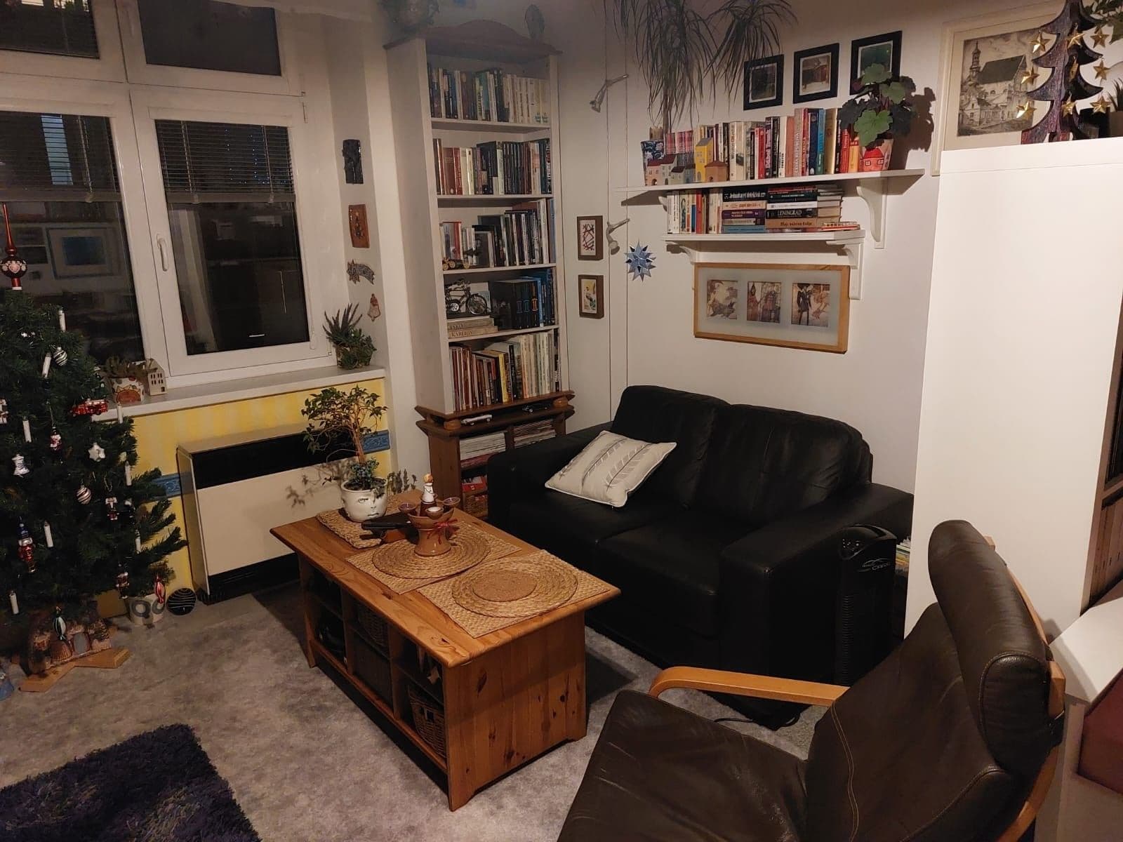 Pronájem bytu 1+1 50 m², Mahenova, Praha, Praha Pronájem bytu 1+1 50 m², Mahenova, Praha, Praha