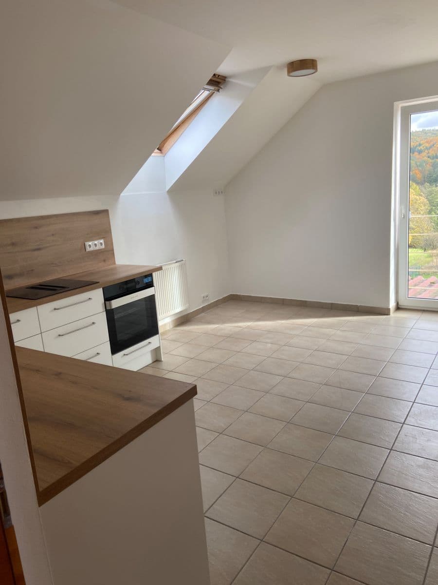 Pronájem bytu 2+1 100 m², Svinošice, Jihomoravský kraj Pronájem bytu 2+1 100 m², Svinošice, Jihomoravský kraj