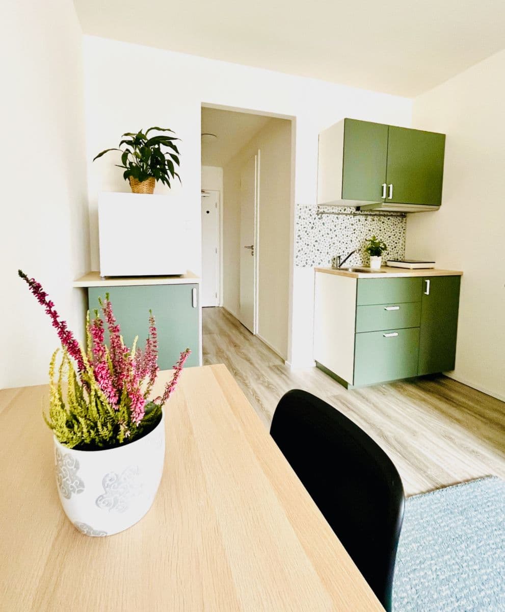 Pronájem bytu 1+kk 23 m², Čenětická, Praha, Praha Pronájem bytu 1+kk 23 m², Čenětická, Praha, Praha