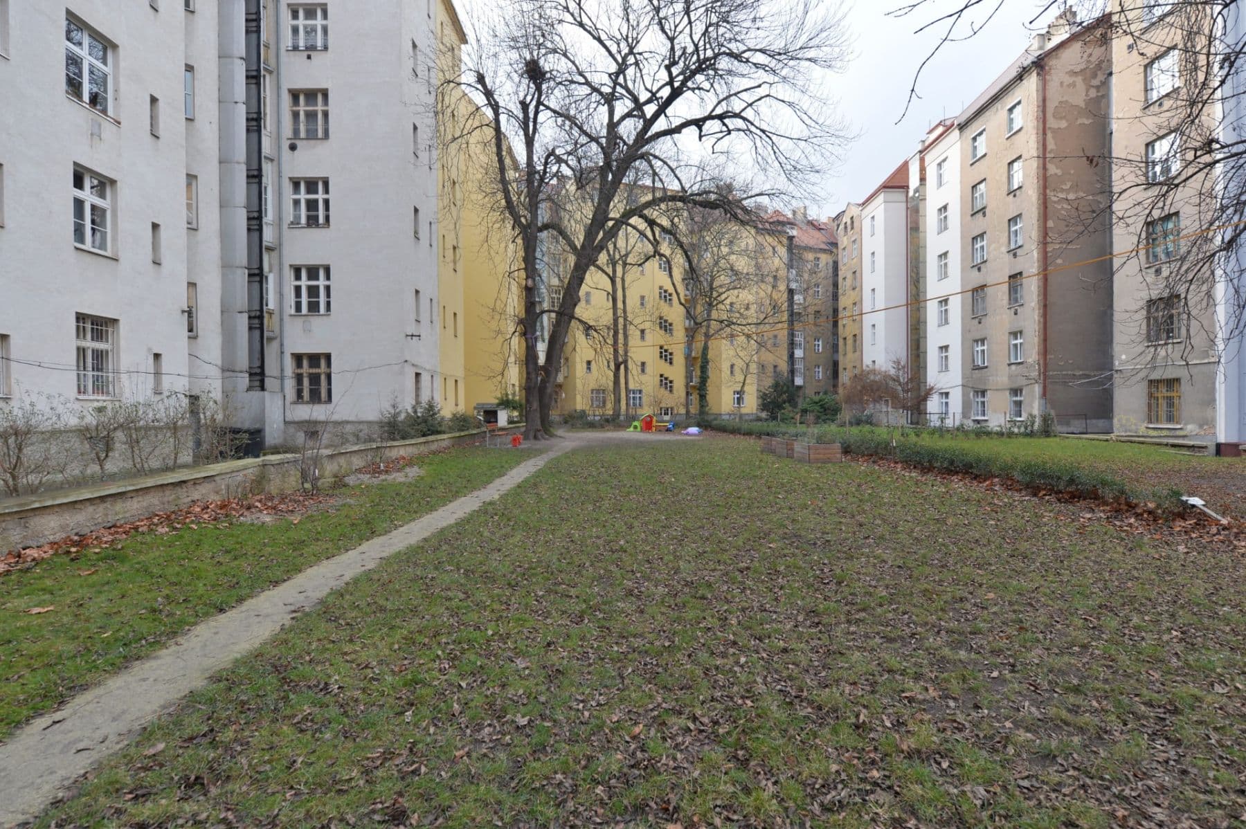 Pronájem bytu 1+1 53 m², Kubelíkova, Praha, Praha Pronájem bytu 1+1 53 m², Kubelíkova, Praha, Praha