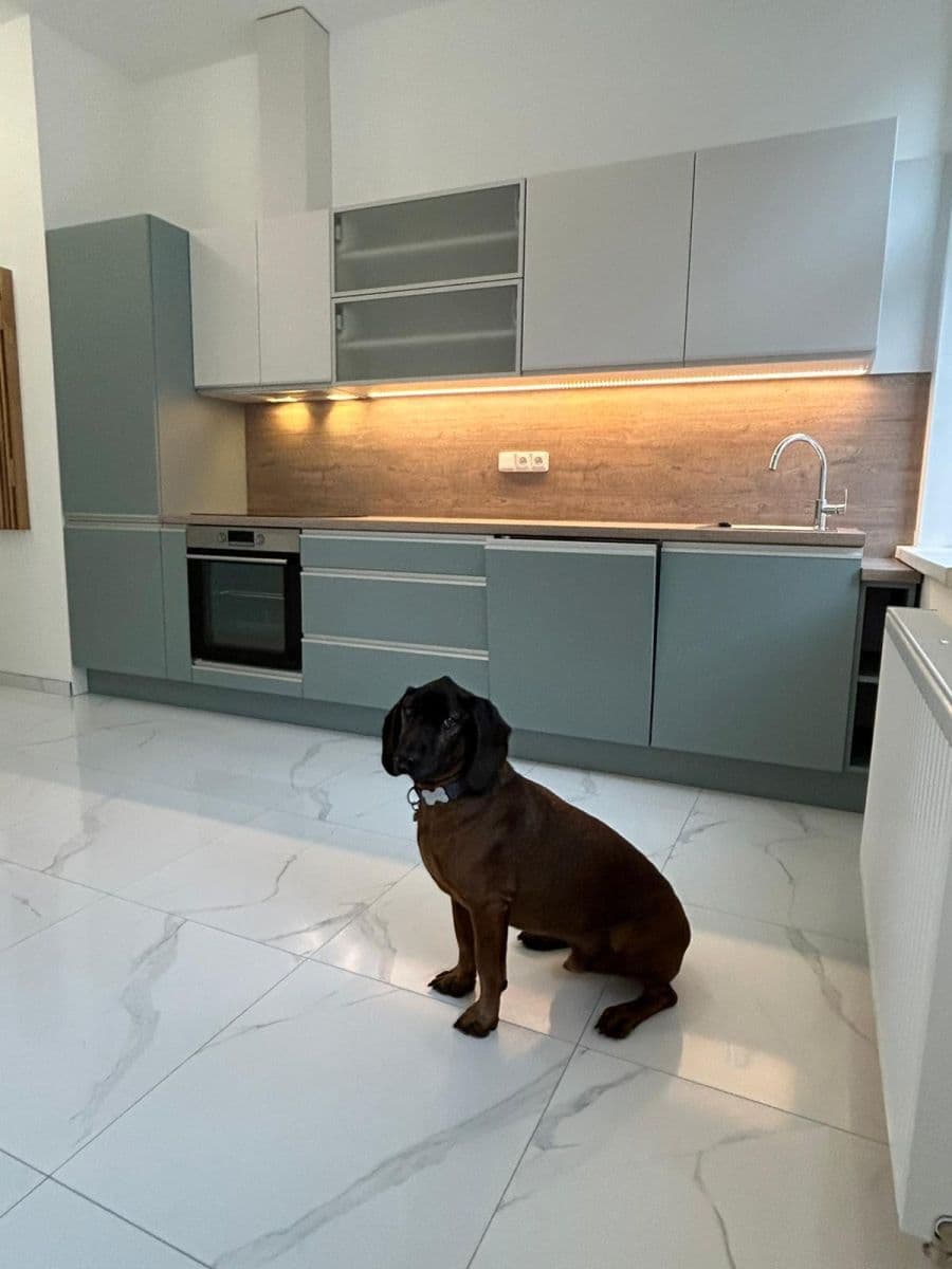 Pronájem bytu 2+kk 39 m², Braunerova, Praha, Praha Pronájem bytu 2+kk 39 m², Braunerova, Praha, Praha