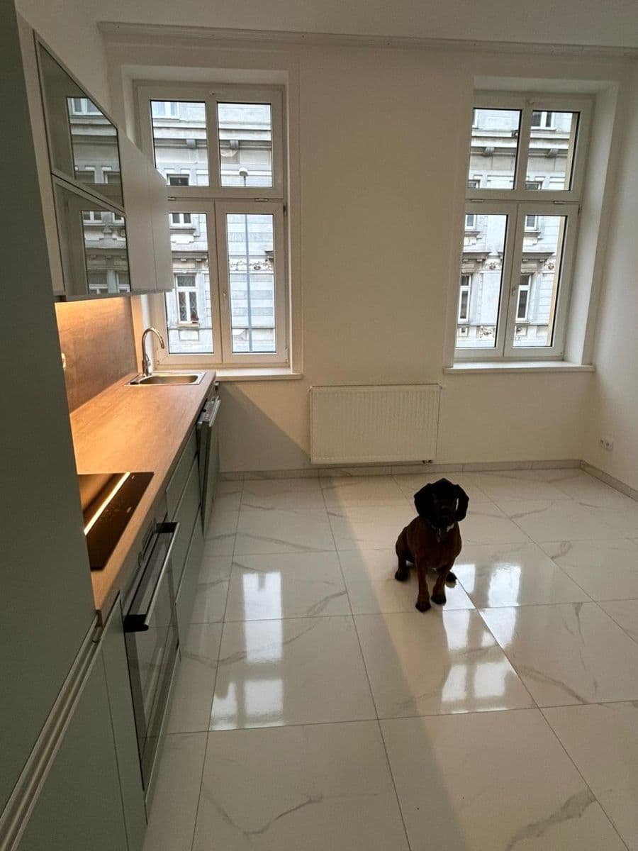 Pronájem bytu 2+kk 39 m², Braunerova, Praha, Praha Pronájem bytu 2+kk 39 m², Braunerova, Praha, Praha