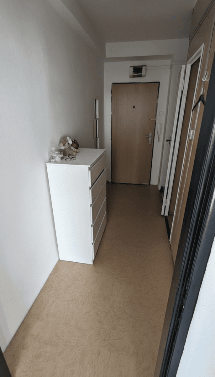 Pronájem bytu 1+kk 35 m², Hartigova, Praha, Praha Pronájem bytu 1+kk 35 m², Hartigova, Praha, Praha