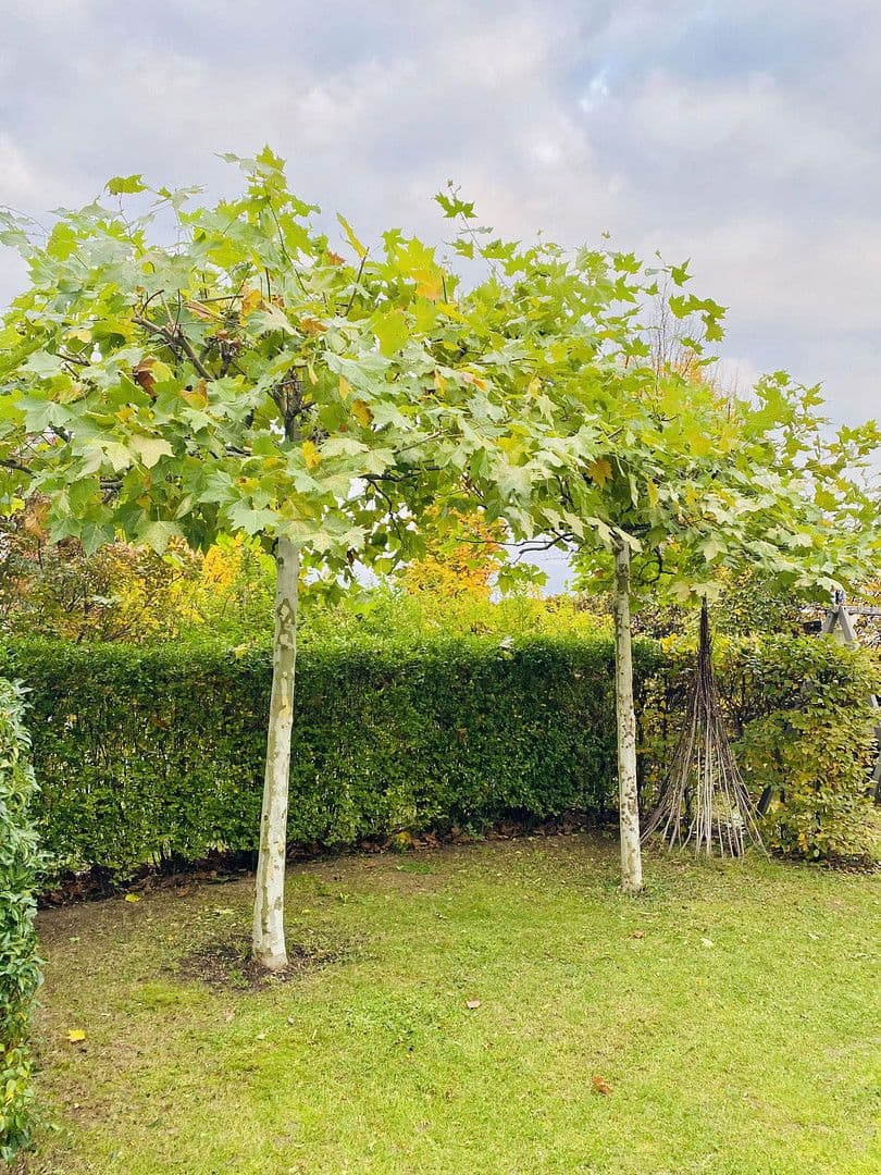 Prodej domu 144 m², pozemek 252 m², Waiblingen, Bádensko-Württembersko Prodej domu 144 m², pozemek 252 m², Waiblingen, Bádensko-Württembersko