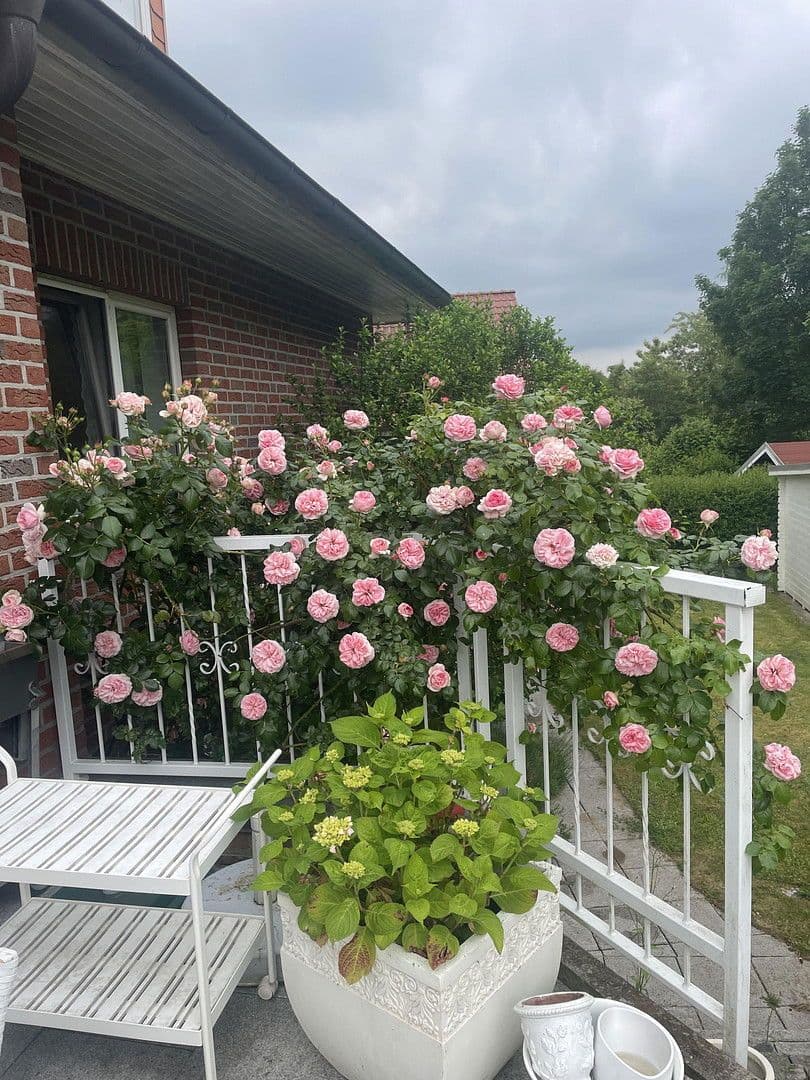 Prodej domu 280 m², pozemek 700 m², Ratzeburg, Šlesvicko-Holštýnsko Prodej domu 280 m², pozemek 700 m², Ratzeburg, Šlesvicko-Holštýnsko