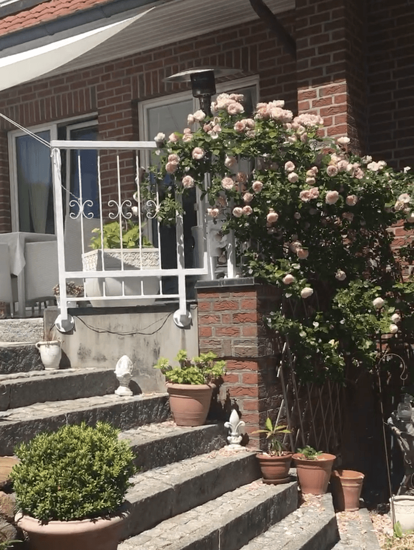 Prodej domu 280 m², pozemek 700 m², Ratzeburg, Šlesvicko-Holštýnsko Prodej domu 280 m², pozemek 700 m², Ratzeburg, Šlesvicko-Holštýnsko