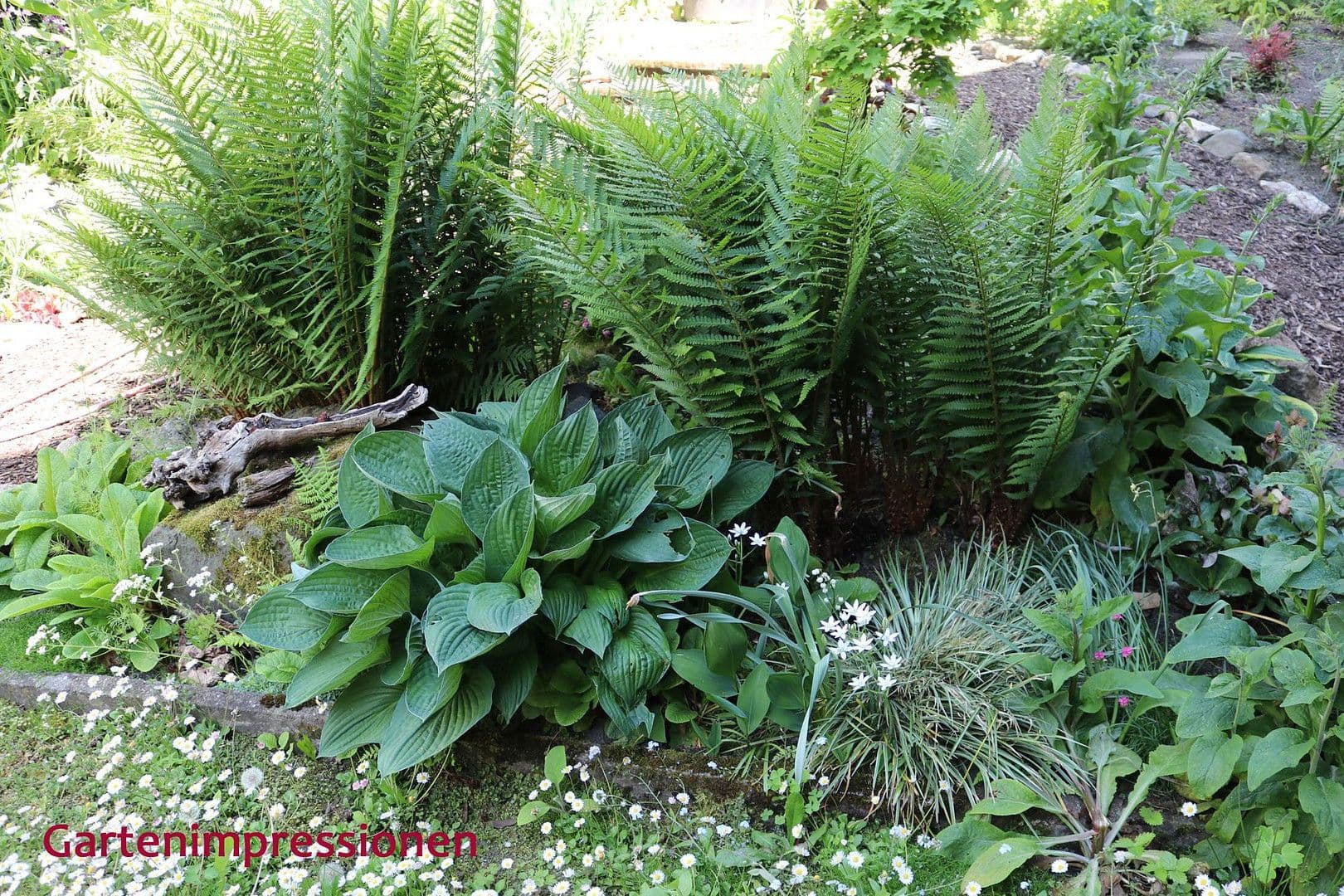 Prodej domu 520 m², pozemek 629 m², Bad Berneck im Fichtelgebirge, Bavorsko Prodej domu 520 m², pozemek 629 m², Bad Berneck im Fichtelgebirge, Bavorsko