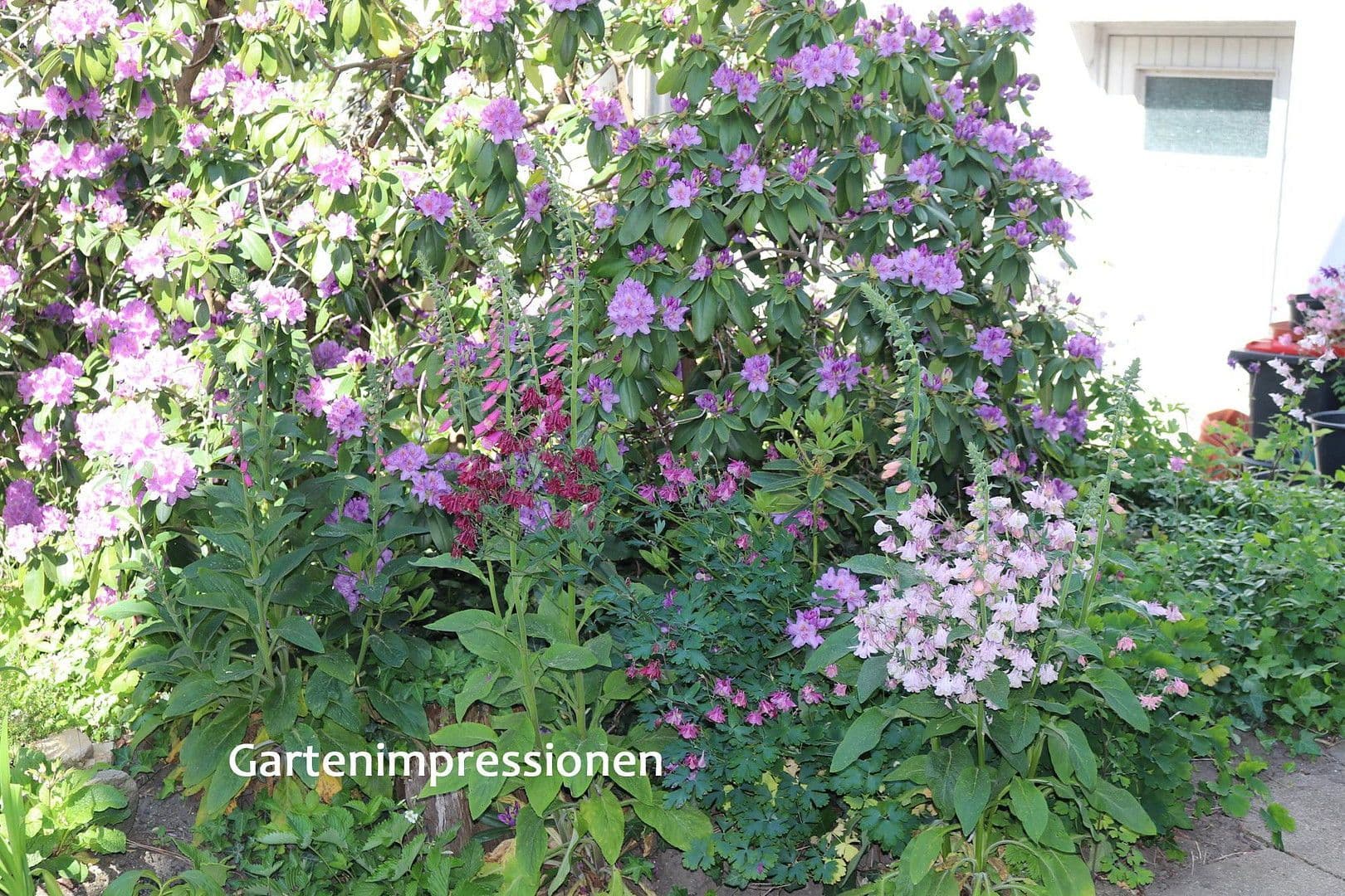 Prodej domu 520 m², pozemek 629 m², Bad Berneck im Fichtelgebirge, Bavorsko Prodej domu 520 m², pozemek 629 m², Bad Berneck im Fichtelgebirge, Bavorsko