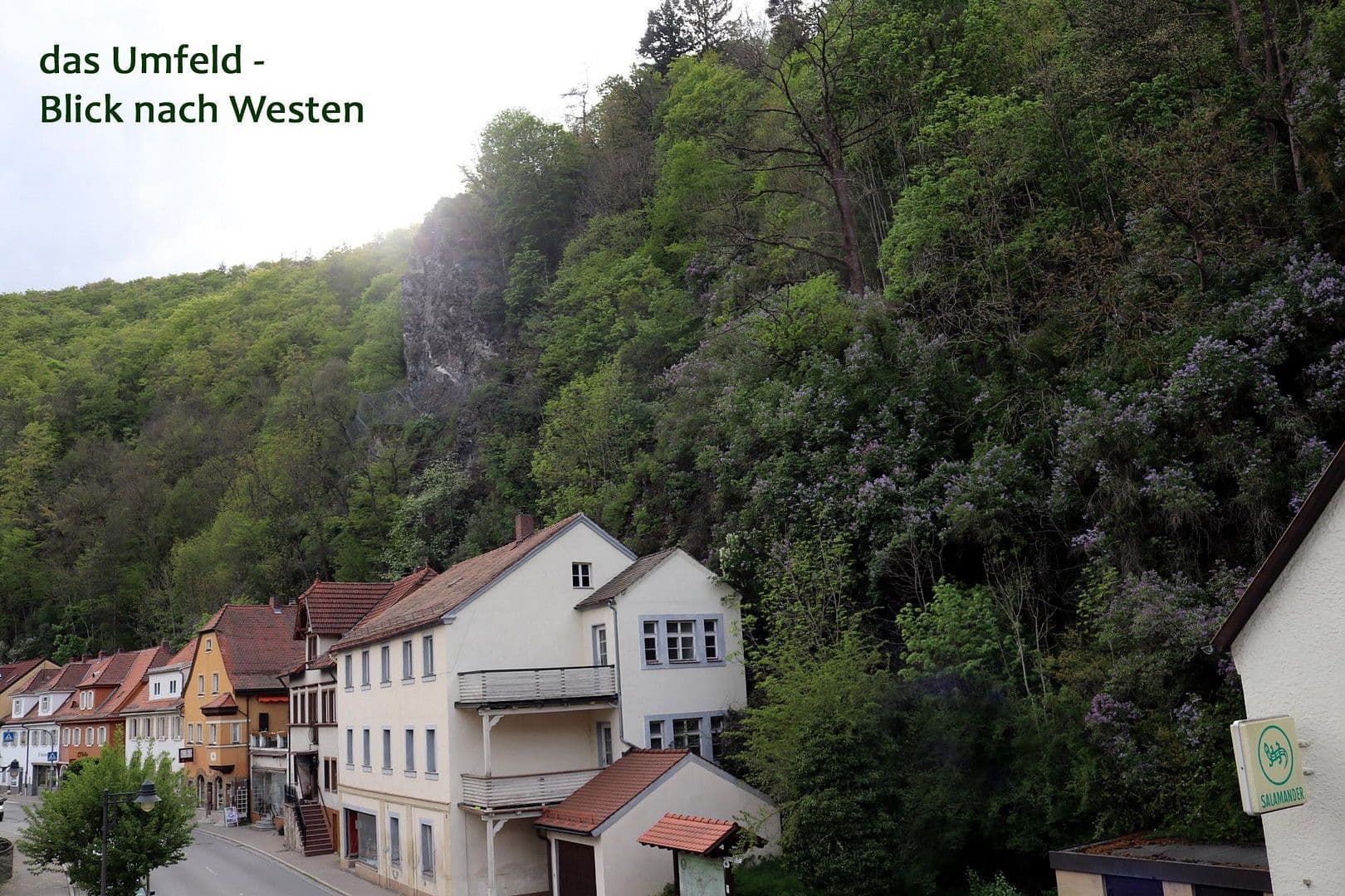 Prodej domu 520 m², pozemek 629 m², Bad Berneck im Fichtelgebirge, Bavorsko Prodej domu 520 m², pozemek 629 m², Bad Berneck im Fichtelgebirge, Bavorsko