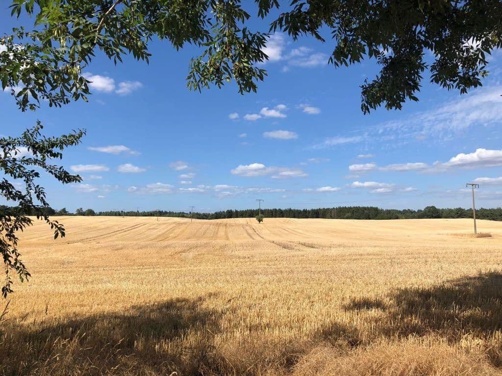 Prodej domu 145 m², pozemek 900 m², Gnevkow, Mecklenburg-Vorpommern Prodej domu 145 m², pozemek 900 m², Gnevkow, Mecklenburg-Vorpommern