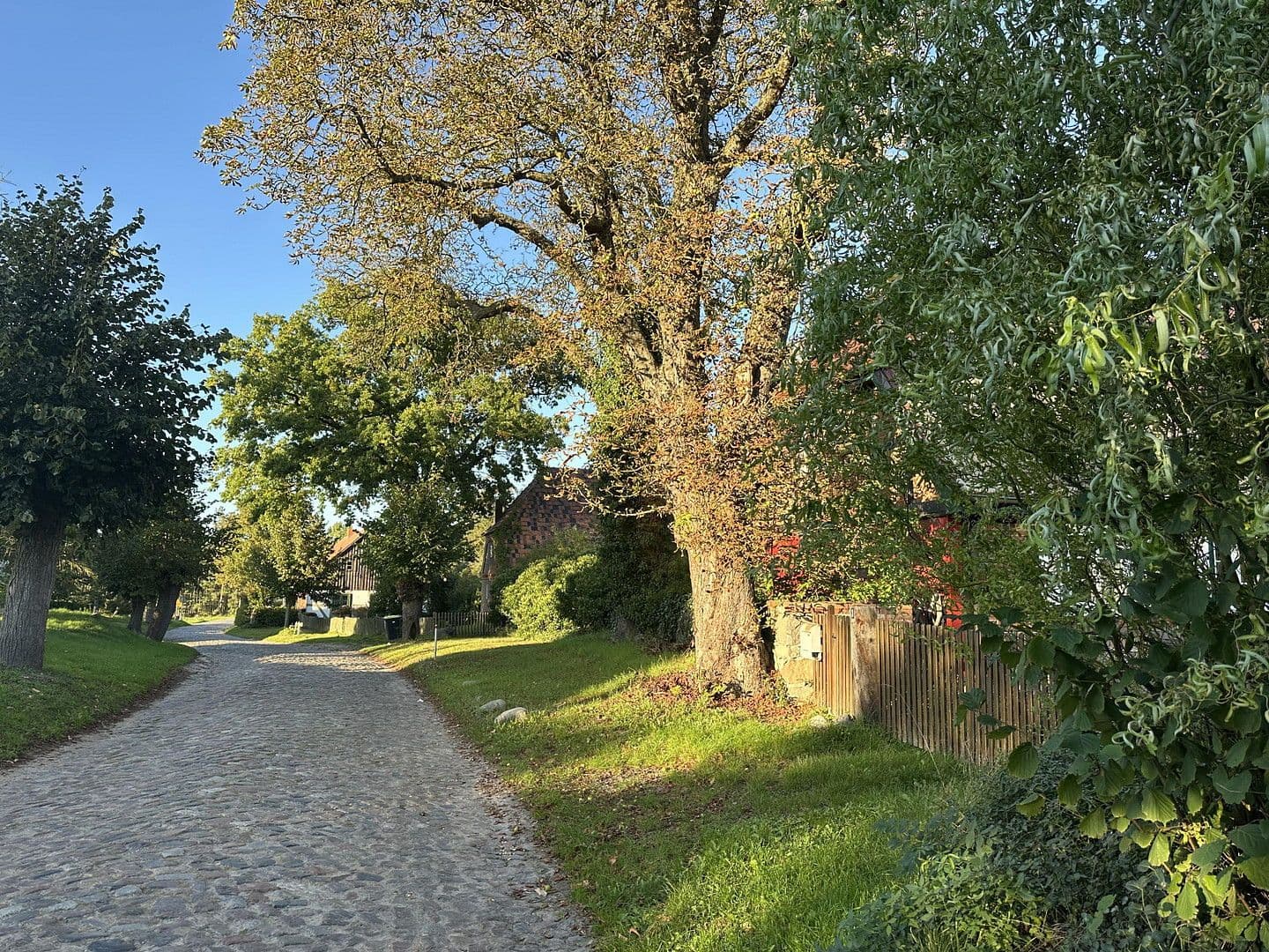 Prodej domu 145 m², pozemek 900 m², Gnevkow, Mecklenburg-Vorpommern Prodej domu 145 m², pozemek 900 m², Gnevkow, Mecklenburg-Vorpommern