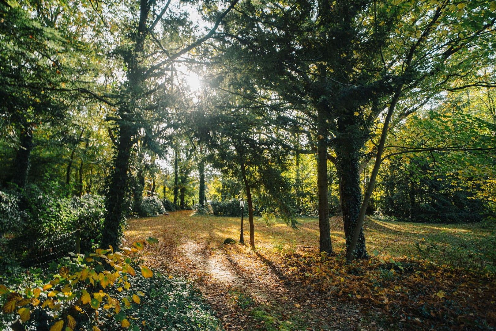 Prodej domu 348 m², pozemek 6.456 m², Wingst, Dolní Sasko Prodej domu 348 m², pozemek 6.456 m², Wingst, Dolní Sasko