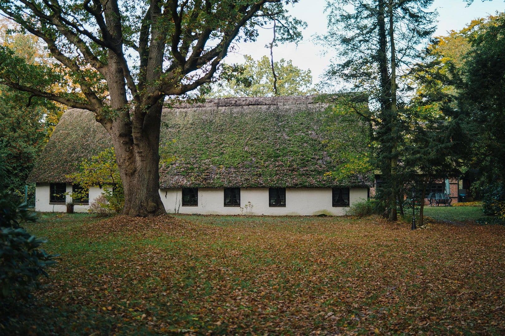 Prodej domu 348 m², pozemek 6.456 m², Wingst, Dolní Sasko Prodej domu 348 m², pozemek 6.456 m², Wingst, Dolní Sasko