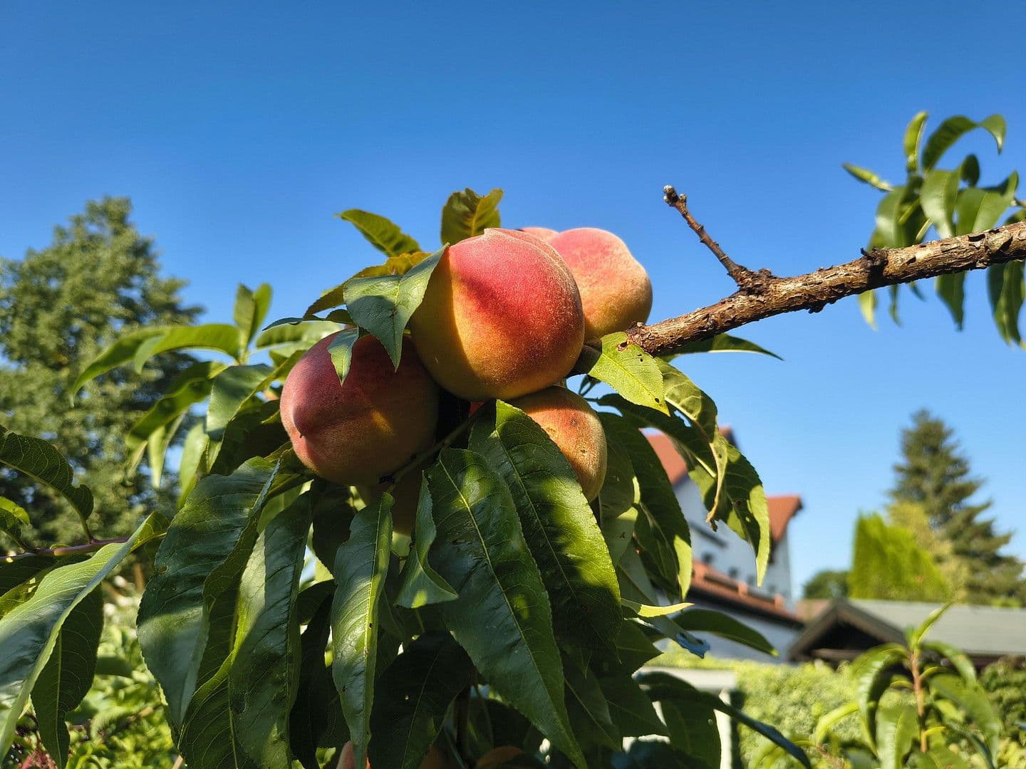 Prodej bytu 4+1 100 m², Spitzwegstr. 1, Germering, Bavorsko Prodej bytu 4+1 100 m², Spitzwegstr. 1, Germering, Bavorsko