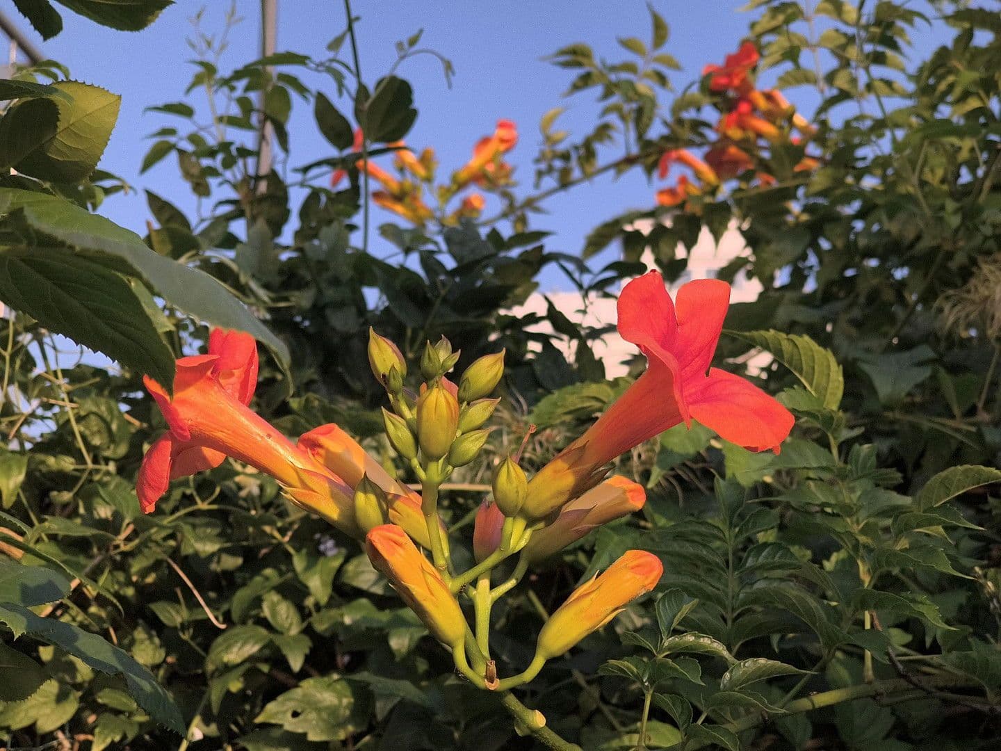 Prodej bytu 4+1 100 m², Spitzwegstr. 1, Germering, Bavorsko Prodej bytu 4+1 100 m², Spitzwegstr. 1, Germering, Bavorsko