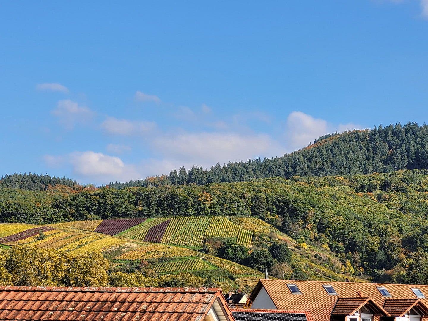 Pronájem bytu 3+1 85 m², Staufen im Breisgau, Bádensko-Württembersko Pronájem bytu 3+1 85 m², Staufen im Breisgau, Bádensko-Württembersko