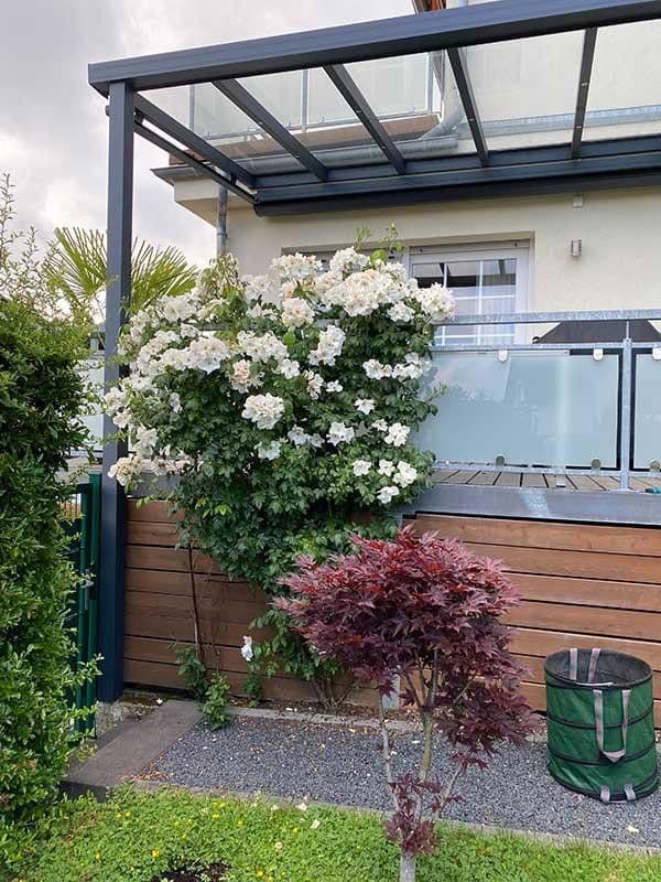 Prodej domu 190 m², pozemek 569 m², Overath, Severní Porýní-Vestfálsko Prodej domu 190 m², pozemek 569 m², Overath, Severní Porýní-Vestfálsko